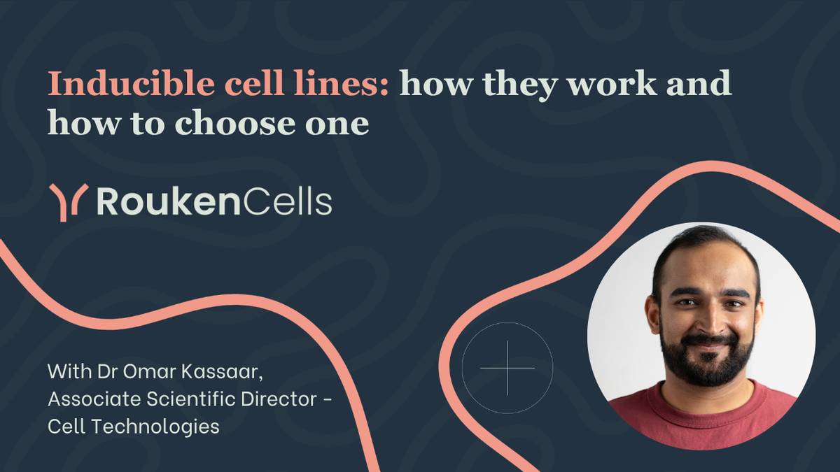 Inducible expression cell lines: how IndEx-2 works and how to choose a system
