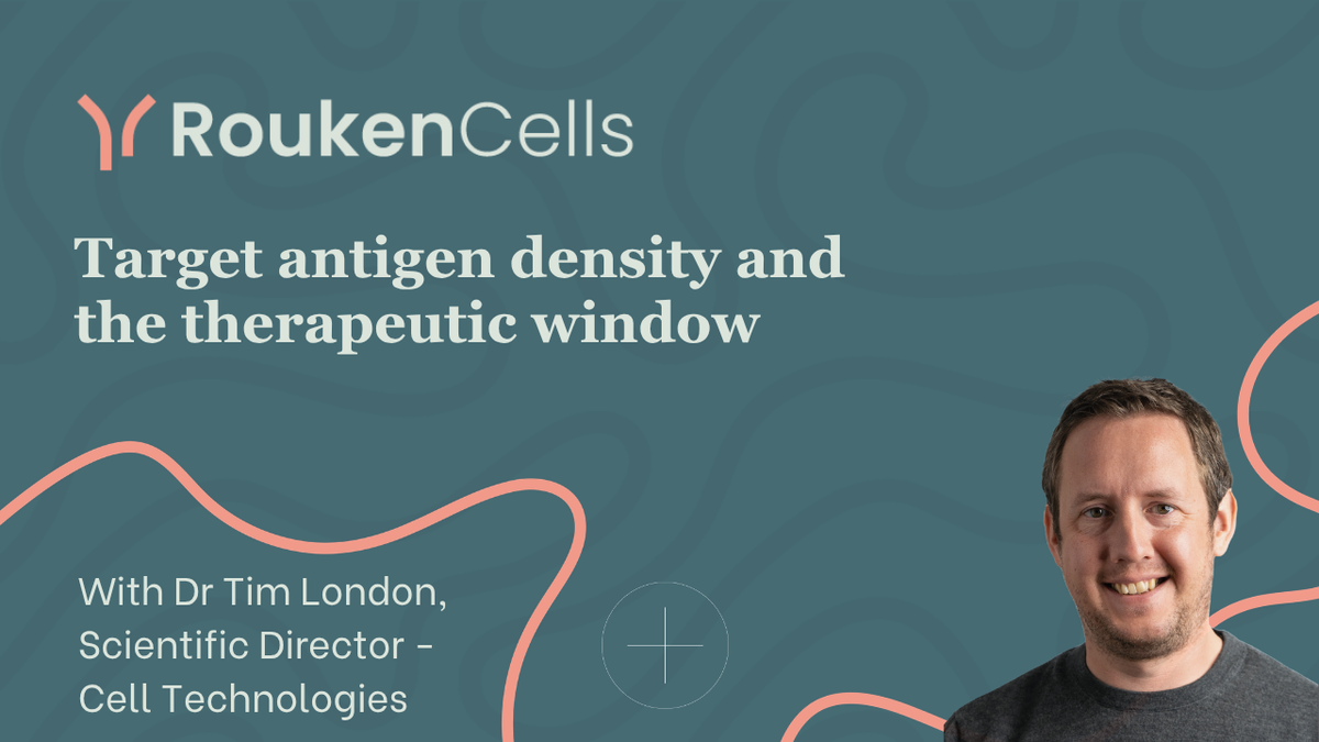 Target antigen density: what it is, why it matters and how to test it in vitro