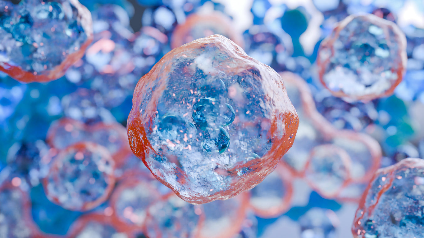 IndEx-2 Cell Lines 3D scientific visualization featuring clusters of biological cells with blue cores and pinkish outer layers.