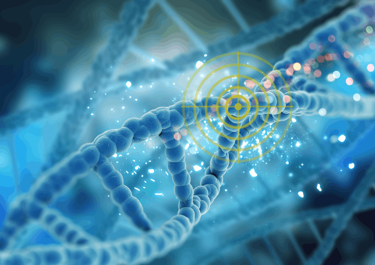 LocIn ReTarget Cell Lines