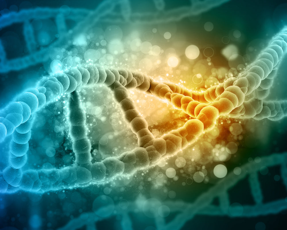 A glowing DNA double helix illustration with a bright blue outer strand and a warm golden-yellow inner strand, set against a dark teal background with soft bokeh light effects.