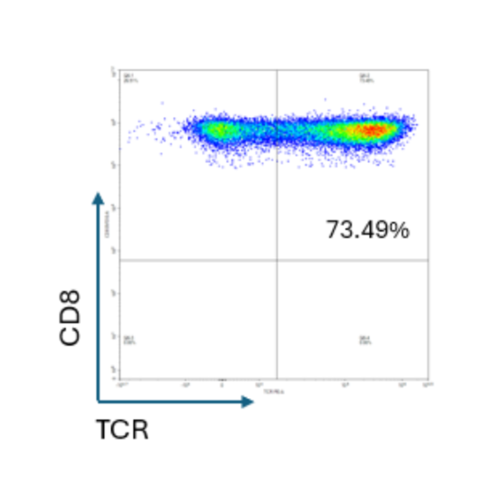 Scatter plot with CD8 and TCR axes and a percentage value of 73.49%.