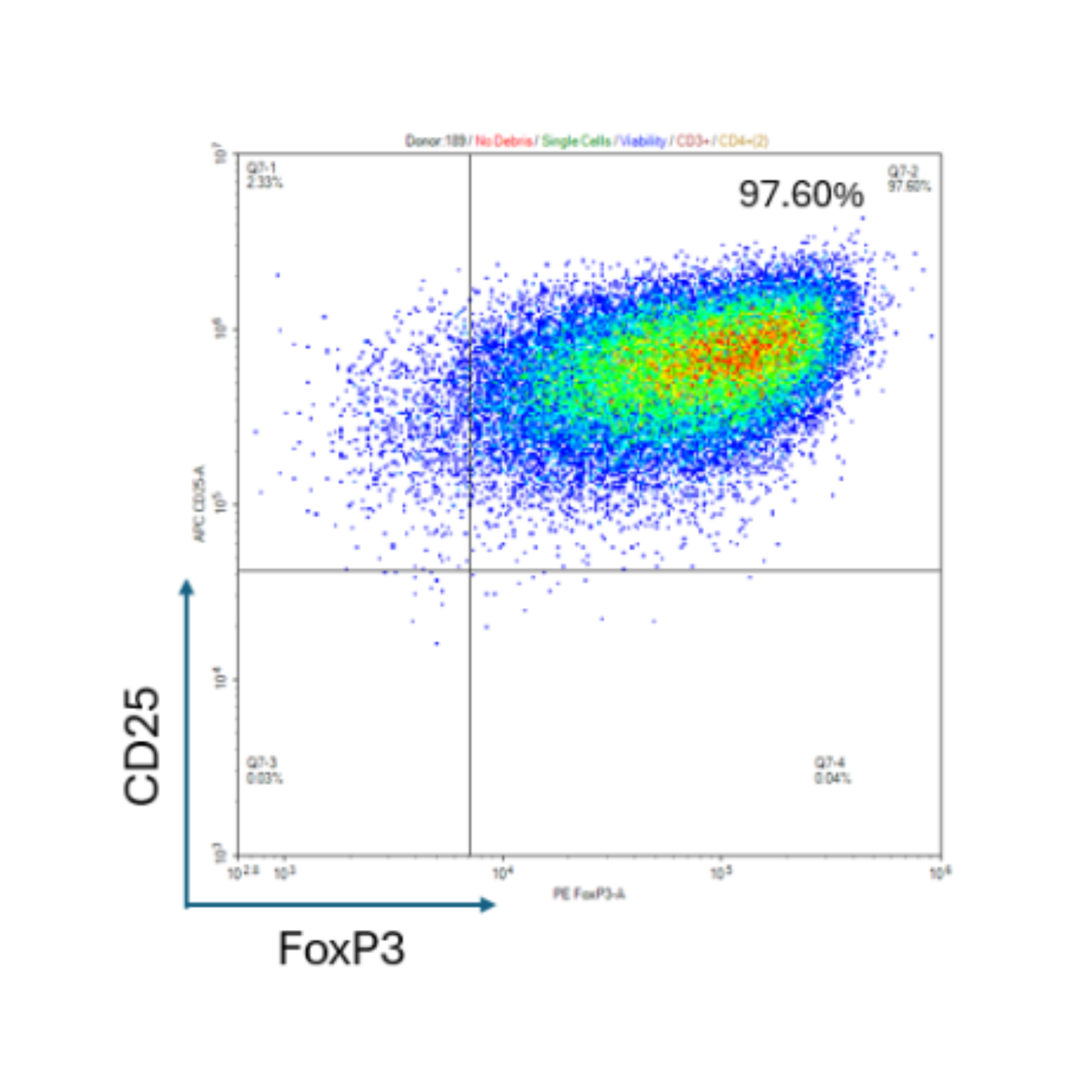 Scatter plot graph with CD25 and FoxP3 on a white background