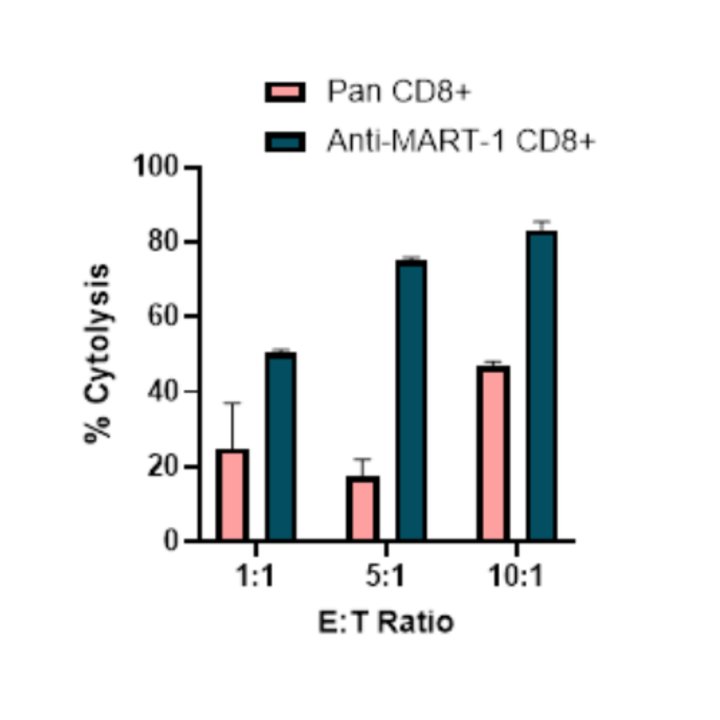 Bar graph showing % Cytolysis at different E:T ratios with two groups labeled 'Pan CD8+' and 'Anti-MART-1 CD8+'.