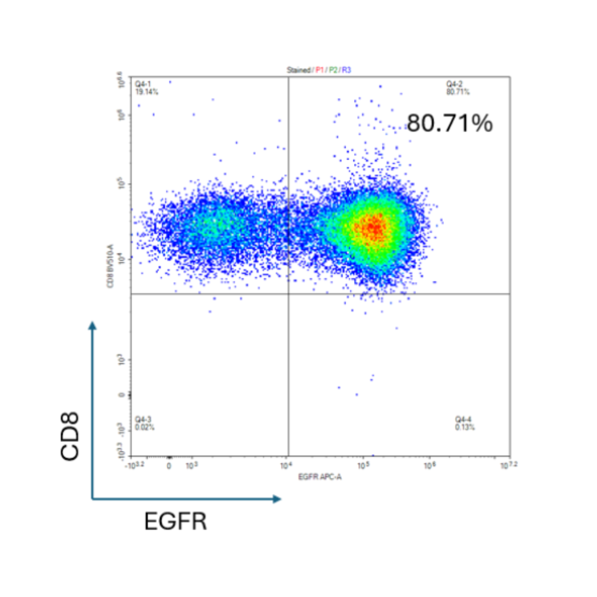 Scatter plot with CD8 and EGFR markers on a white background