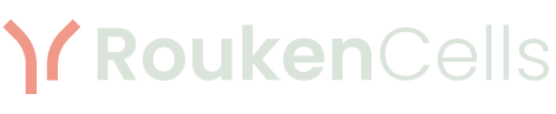 RoukenCells