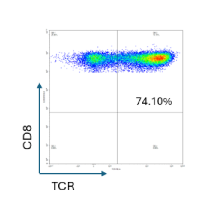 Scatter plot with CD8 and TCR axes and a percentage value of 74.10%.