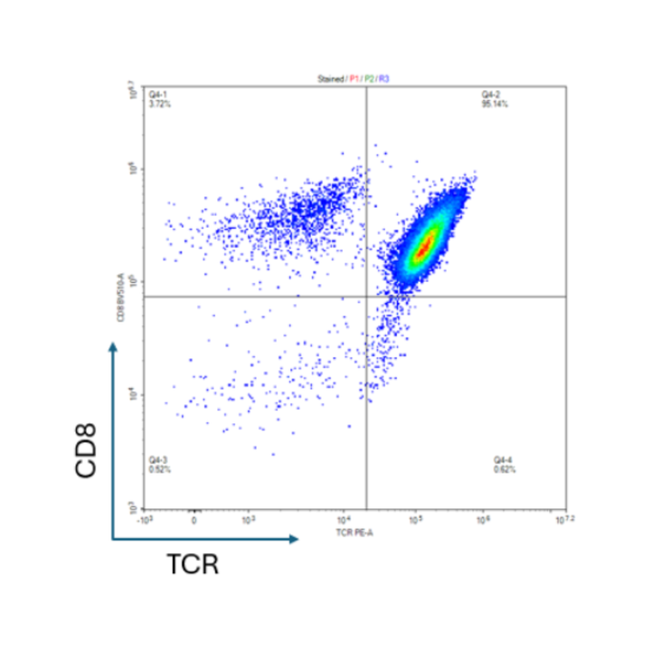 Scatter plot with TCR and CD8 axes on a white background