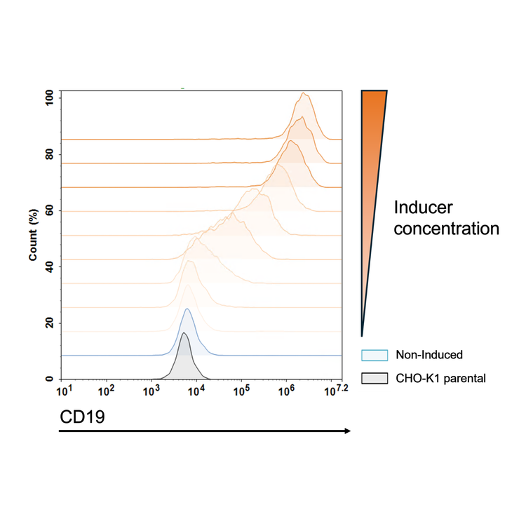Flow cytometry plot showing CD19 expression with induced and non-induced conditions.