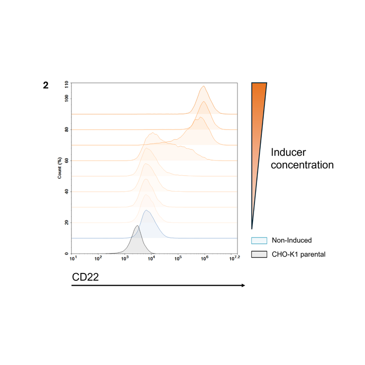 Graph showing CD22 expression with induced and non-induced conditions on a white background