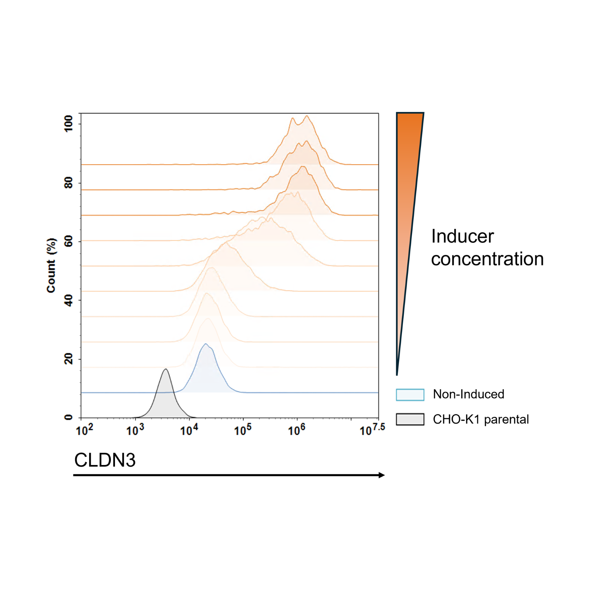 Graph showing the expression of CLDN3 protein with varying inducer concentrations, labeled 'Non-Induced' and 'CHO-K1 parental'.
