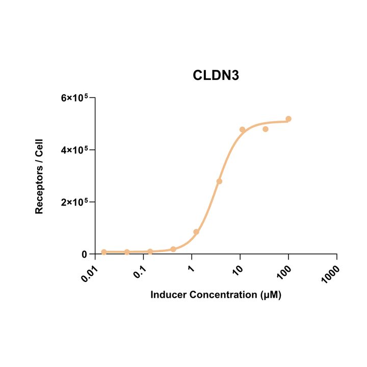 Graph showing CLDN3 receptor concentration per cell against inducer concentration in micromolar units.
