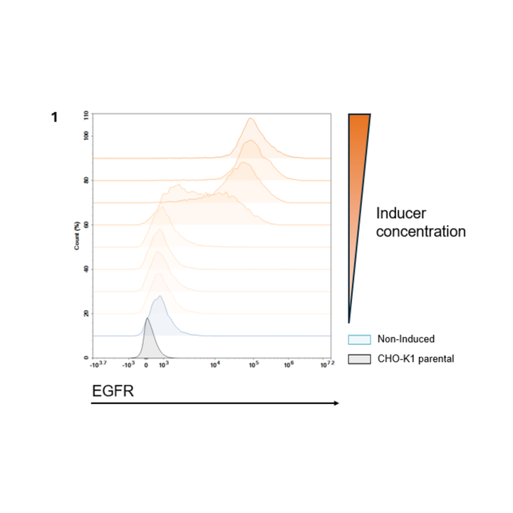 Graph comparing EGFR expression in non-induced and CHO-K1 parental cells with inducer concentration.