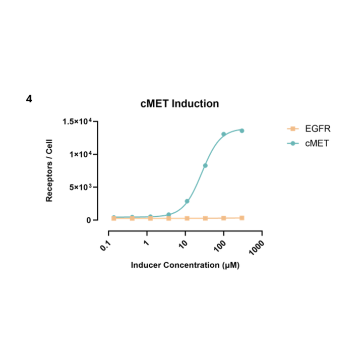 Graph showing cMET induction with varying inducer concentrations for EGFR and cMET.