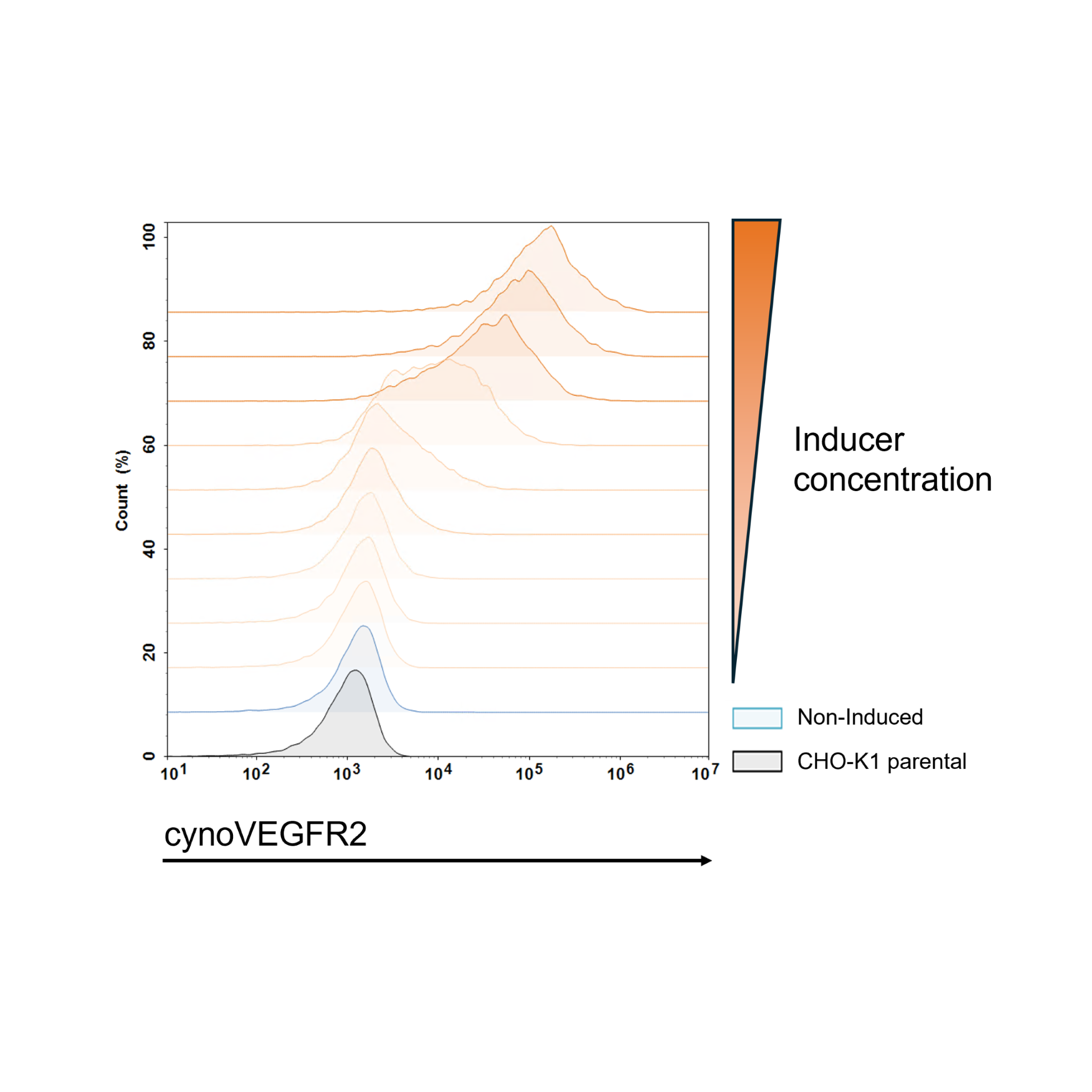 Graph showing cynoVEGFR2 expression with non-induced and CHO-K1 parental data, labeled 'Inducer concentration'.