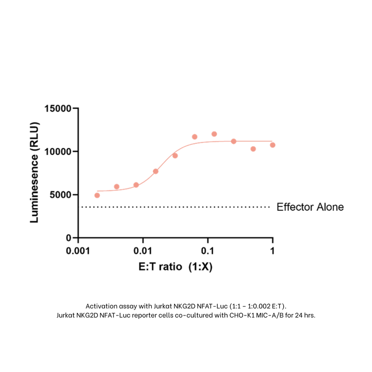 Graph showing luminescence (RLU) against E:T ratio for an activation assay with Jurkat NKG2D NFAT-Luc cells.