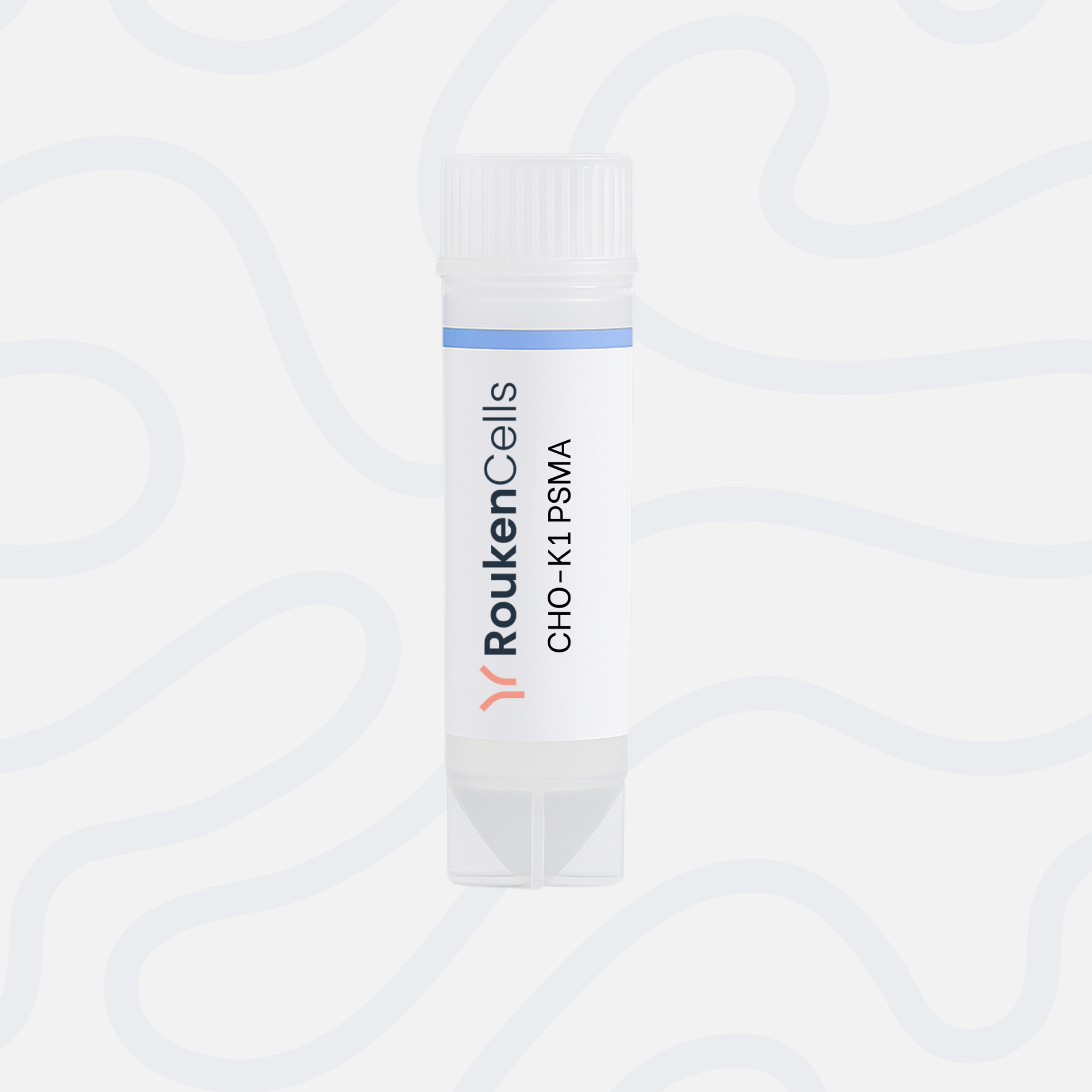 CHO-K1 PSMA