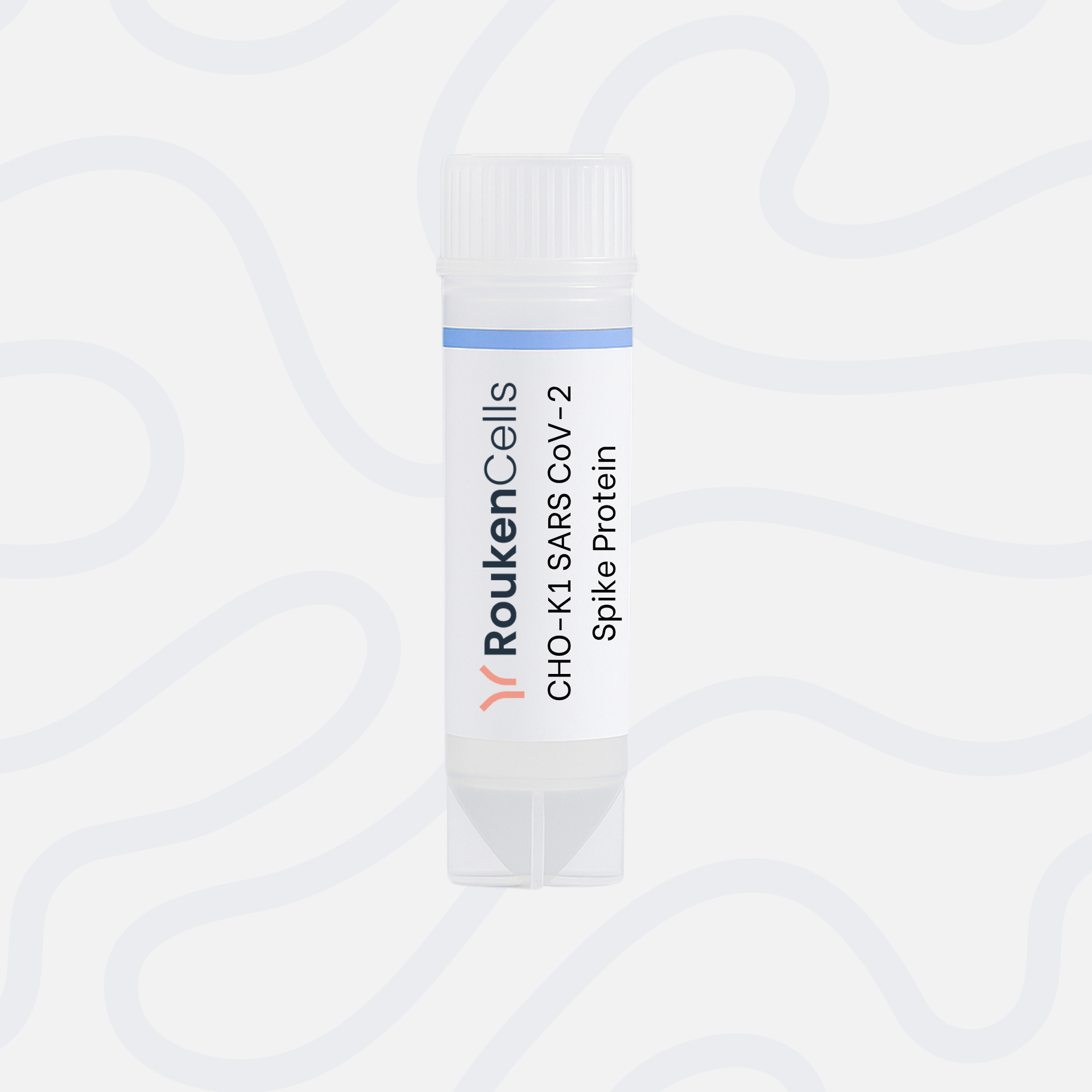 CHO-K1 SARS CoV-2 Spike Protein