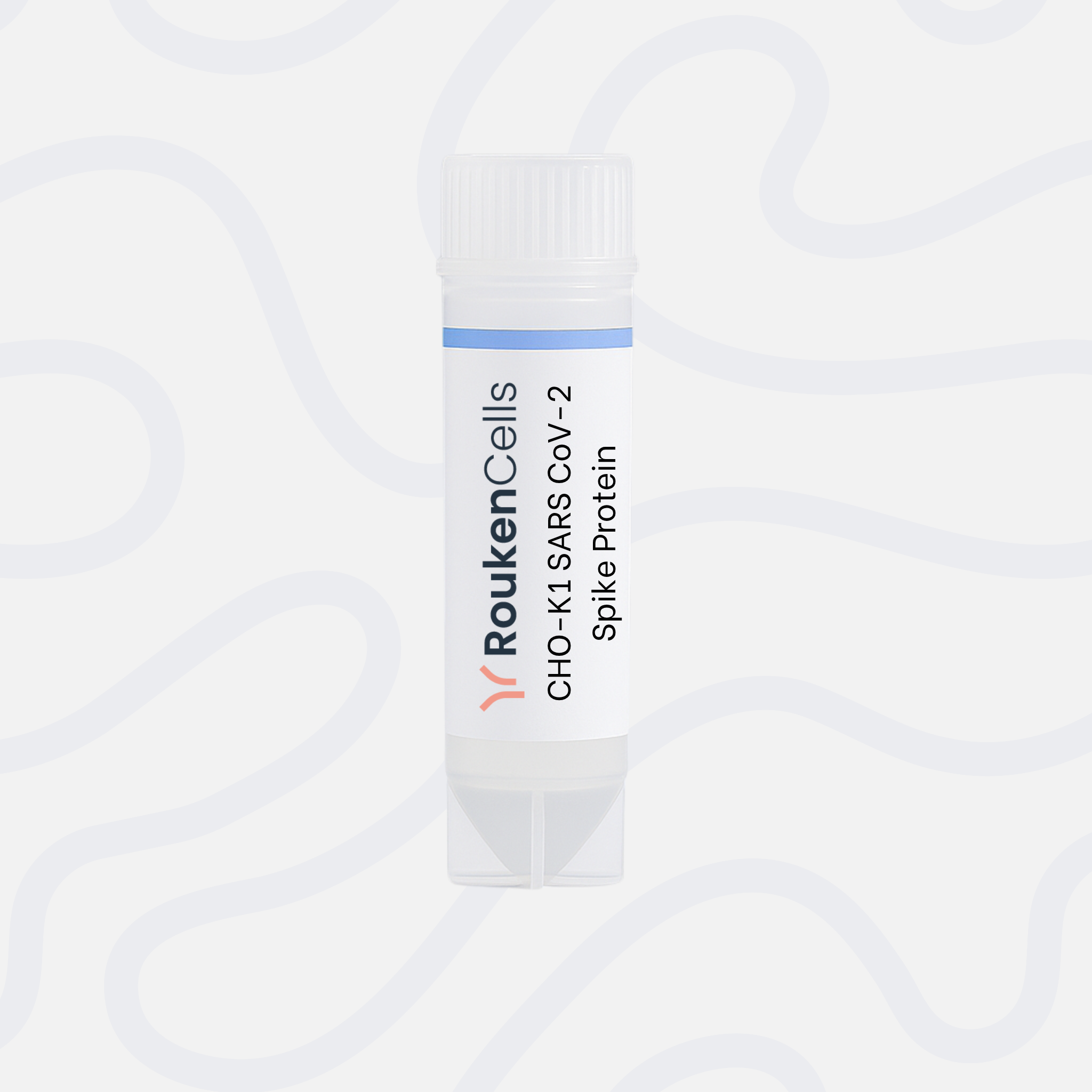 CHO-K1 SARS CoV-2 Spike Protein