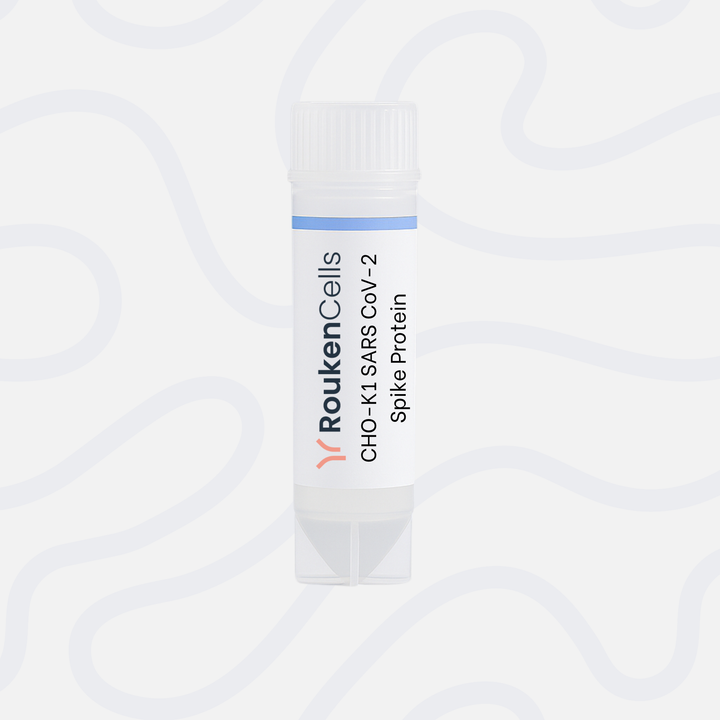 CHO-K1 SARS CoV-2 Spike Protein