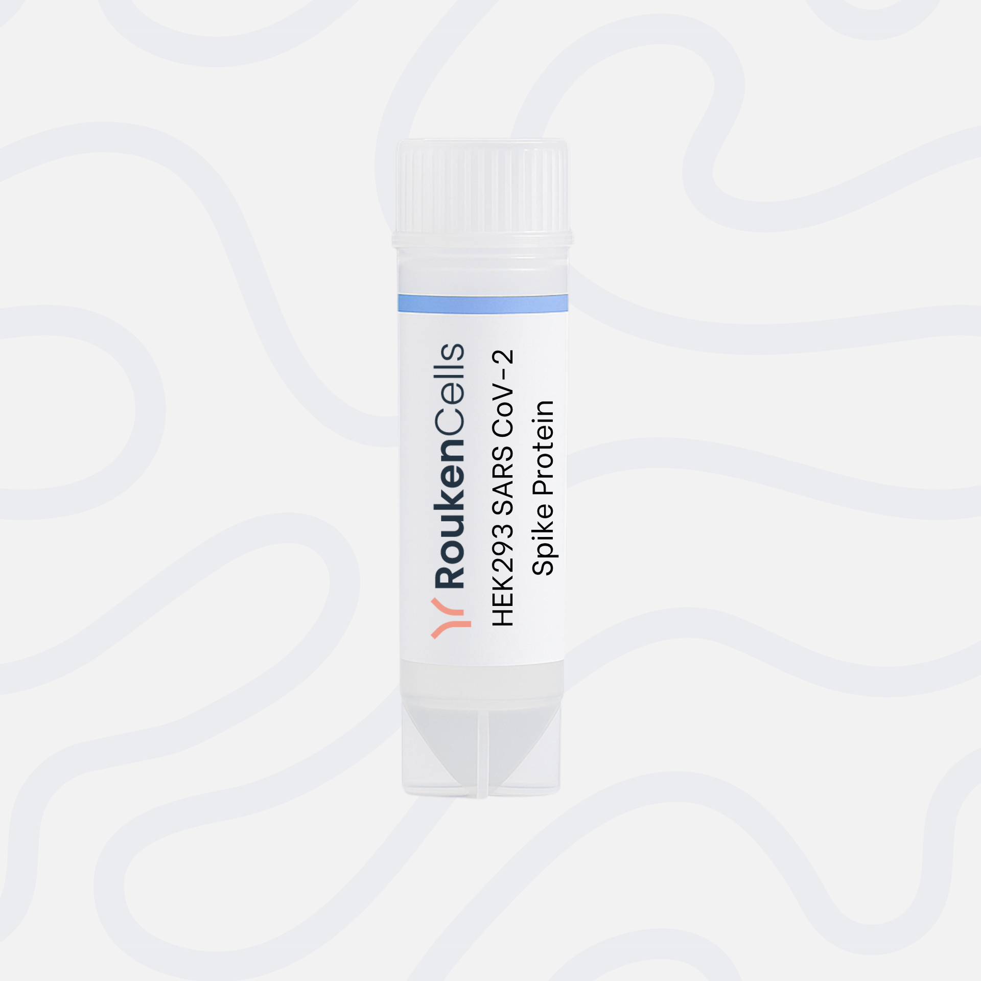 HEK293 SARS CoV-2 Spike Protein