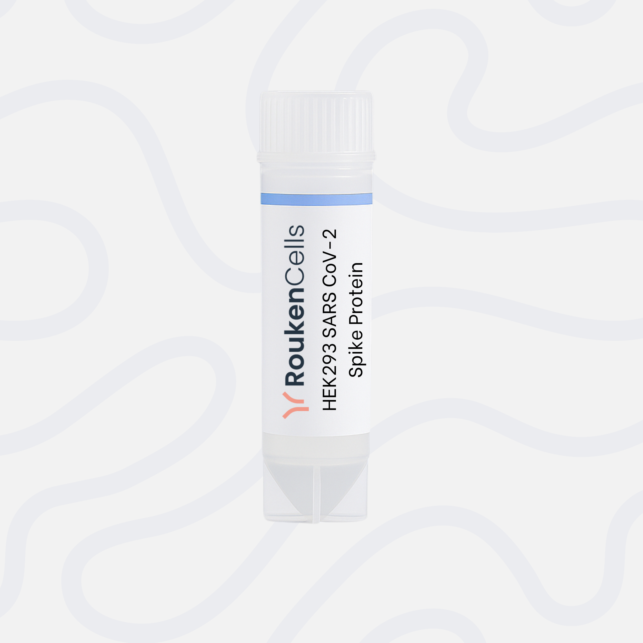 HEK293 SARS CoV-2 Spike Protein
