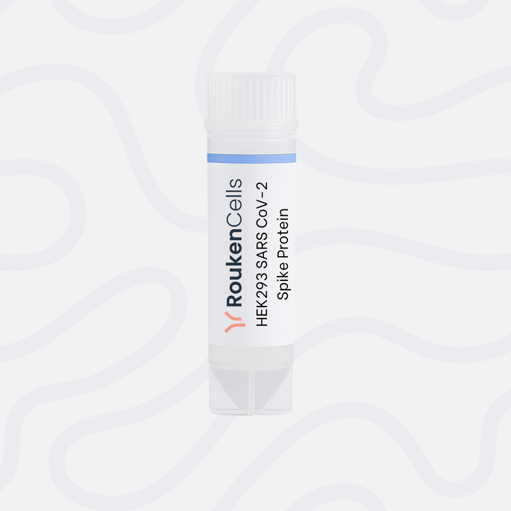 HEK293 SARS CoV-2 Spike Protein