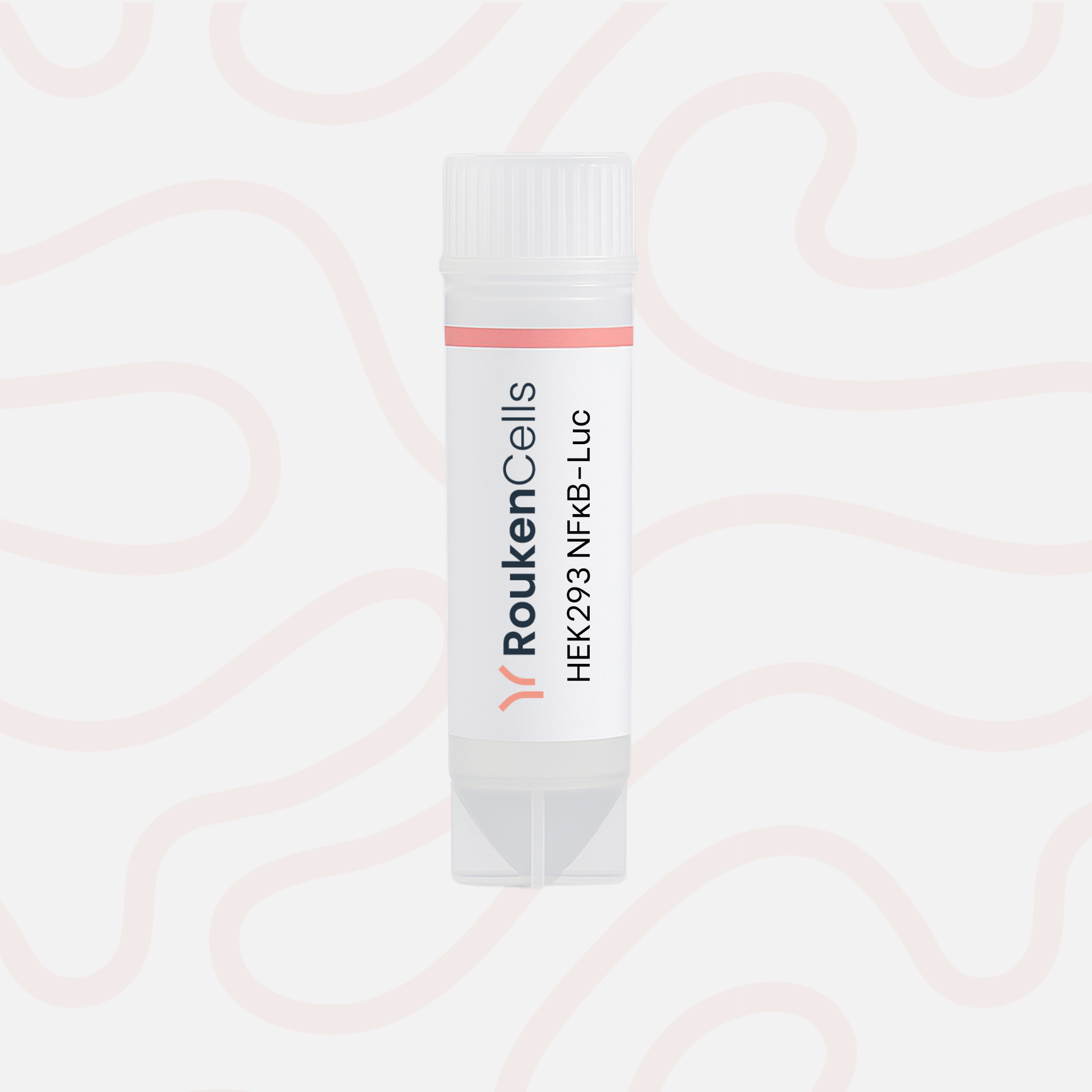 Packaging of RoukenCells HEK293 NFRB-Luc on a light pink background