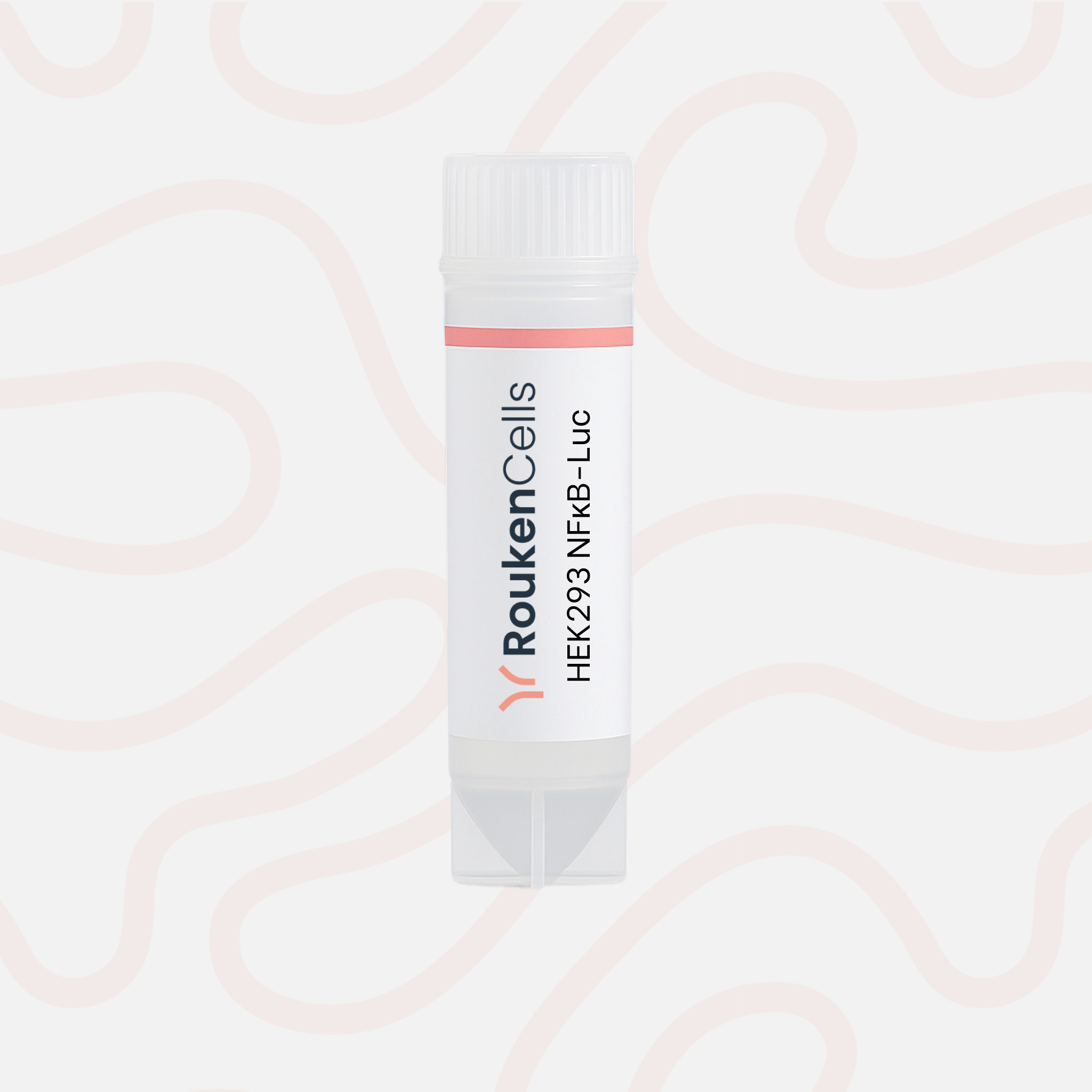 Packaging of RoukenCells HEK293 NFRB-Luc on a light pink background
