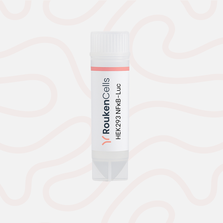 Packaging of RoukenCells HEK293 NFRB-Luc on a light pink background